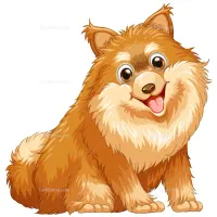 سگ پیدا شده