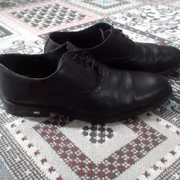 کفش سایز ۴۳