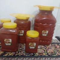 رب خانگی