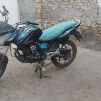 موتور مزایده پالس دیسکاور 150