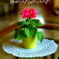 اجاره زمین کشاورزی