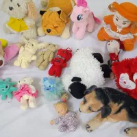 این همه عروسک|اسباب‌بازی بچه|مشهد, نوید|دیوار