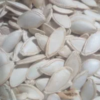 تخم کدو|خوردنی و آشامیدنی|سمیرم, |دیوار