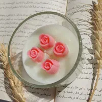 شمع دریایی، شمع گل، شمع بابونه، وارمر|صنایع دستی و سایر لوازم تزئینی|مرودشت, رودبال|دیوار