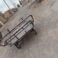 گاری سالم|دوچرخه، اسکیت، اسکوتر|تربت جام, حافظ|دیوار