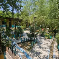 نیروی سالندار مرد مجرد و مجرب