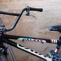 دوچرخه ویوا bmx حرفه‌ای|دوچرخه، اسکیت، اسکوتر|سبزوار, توحیدشهر|دیوار