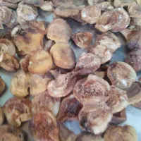 زردالو