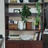 کتابخانه چوبی