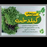 همکار