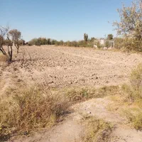 زمین|فروش زمین و ملک کلنگی|گوگان, |دیوار