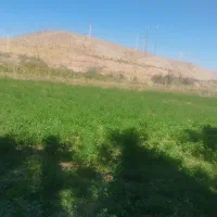 فروش زمین کشاورزی بهر جاده اصلی بین المللی
