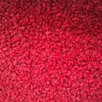 زرشک مستقیم افین قائنات خرید عمده بدون واسطه