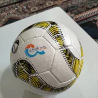 توپ سالنی