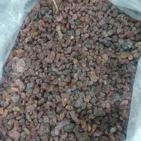کشمش|خوردنی و آشامیدنی|بهارستان, |دیوار