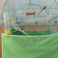 عروس هلندی دستی