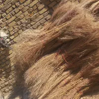 بته|لوازم نظافت|کرمانشاه, |دیوار