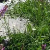 2500متر-باغ-دارای-مجوز-پرورش-ماهی