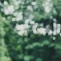 نظافت منزل و شرکت و..