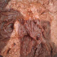 گوجه‌فرنگی و رب خونگی