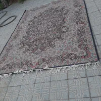 قالی دستباف سرام راوری|فرش|راور, |دیوار