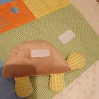 پتو نوزادی اورجینال|اسباب و اثاث بچه|شیراز, شهرک پرواز|دیوار