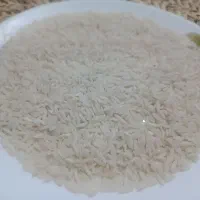 فروش برنج هاشمی درجه یک آستانه اشرفیه|خوردنی و آشامیدنی|رشت, پل تالشان|دیوار