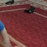 فرش فروشی|فرش|نورآباد, |دیوار