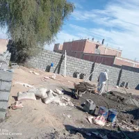 بنا دیوارچینی خرده کاری|خدمات پیشه و مهارت|رودبار (کرمان), |دیوار