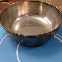 ظرف سیلور پلیت