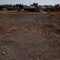 اجاره مسکونی|اجارهٔ آپارتمان|سرپل ذهاب, |دیوار