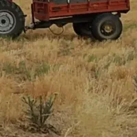 تریلر فروشی