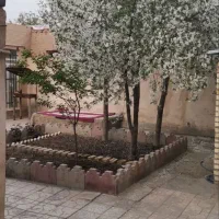 خانه ویلایی|فروش خانه و ویلا|چناران, |دیوار