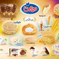 ویزیتور و راننده