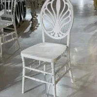 صندلی مقاوم نشکن ضدآب/تالار خانه عقد تشریفات سالن