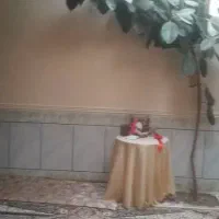 یک باب منزل مسکونی در روستای چم چنگ بفروش میرسد|فروش خانه و ویلا|سامان, |دیوار