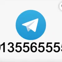 ۰۹۱۳۵۵۶۵۵۵۵