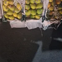 گلابی درجه یک اعلا بخور ببر