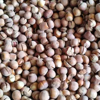 فندق.بادام.کشمش|خوردنی و آشامیدنی|گرگان, |دیوار