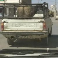 قوچ دزدیده شده|حیوانات|رزن, |دیوار