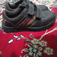 کفش نو کلاسیک جذاب