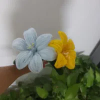 گل رز و لیلیوم
