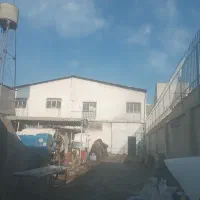 نگهداری سگ و حیوانات بی پناه رایگان|خدمات پیشه و مهارت|باغستان, |دیوار