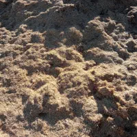ضایعات کاه