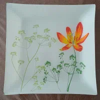 ظرف میوه خوری