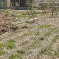 زمین فروشی در مشهدالکوبه