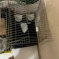قفس|لوازم جانبی حیوانات|تهران, هاشمی|دیوار