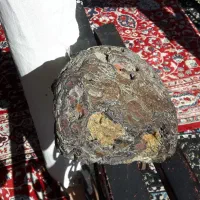 شهاب سنگ بی نظیر و کمیاب|کلکسیون اشیاء عتیقه|نوشهر, |دیوار