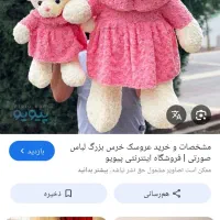 خرس پلییشی بزرگ