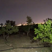 نیاز به کارگر برای گاوداری دامداری صنعتی و کشاورزی